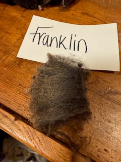 Spring Shearing Raw Babydoll Lamb Fleece -Franklin-(2.75 lbs)