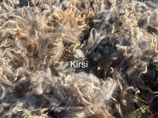 Fall Shearing Raw Gotland Fleece-Kirsi-2.4lbs