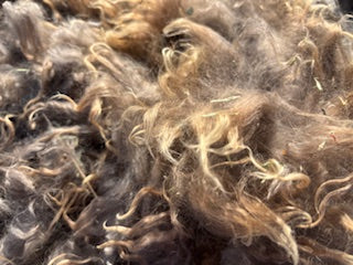Fall Shearing Raw Gotland Fleece-Kahlia 3.4 lbs