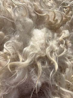Fall Shearing Raw Pygora Fiber-Scotch-1st shearing  .7lb