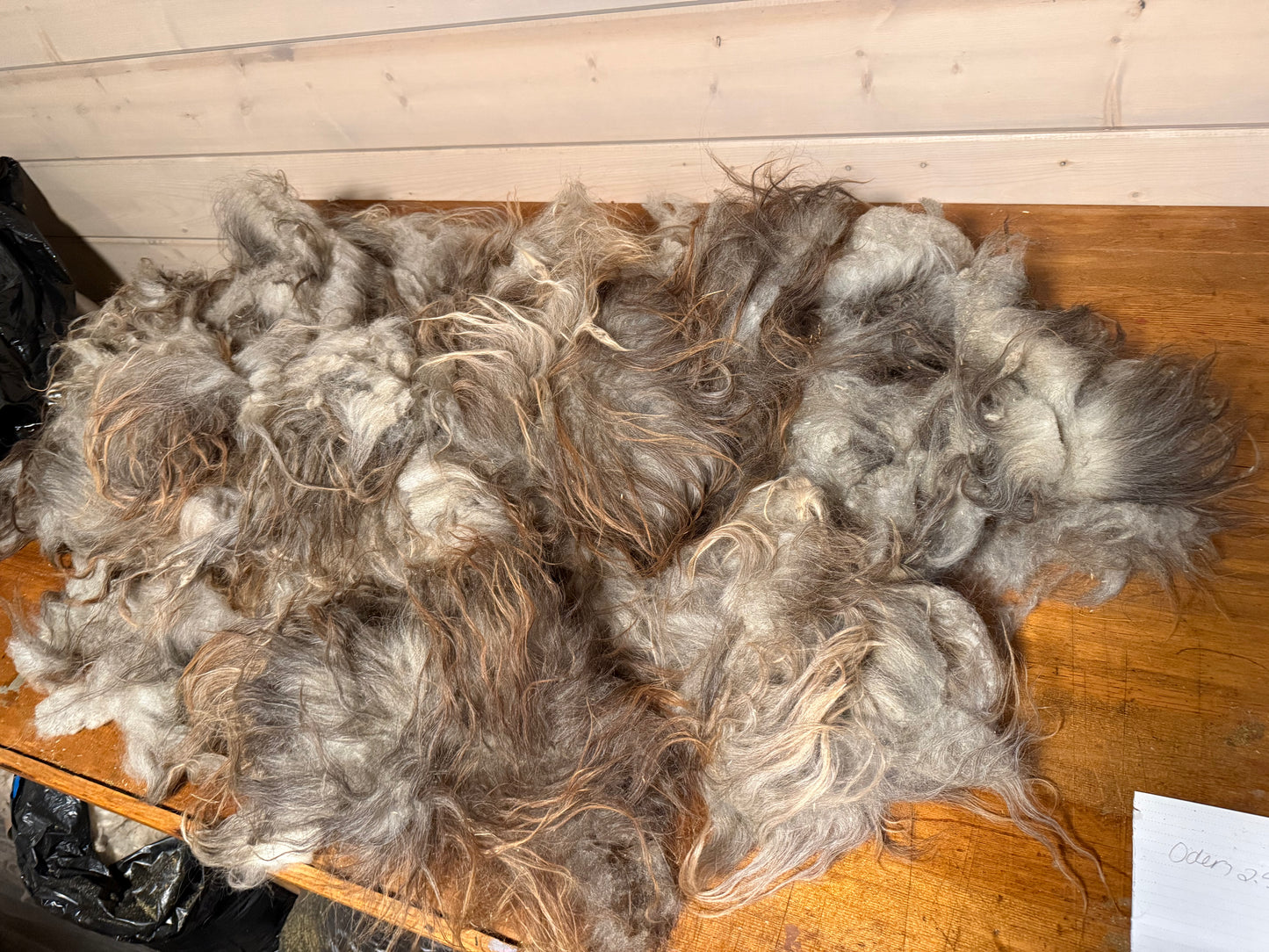 Full Icelandic Fleece (Oden) 2.5 lbs