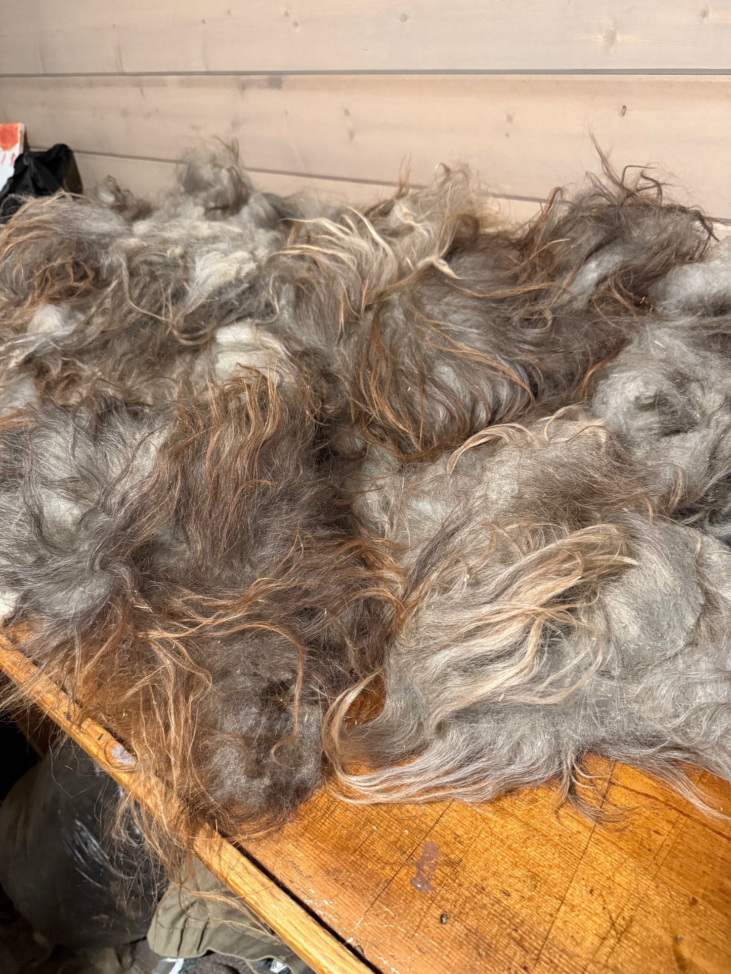 Full Icelandic Fleece (Oden) 2.5 lbs