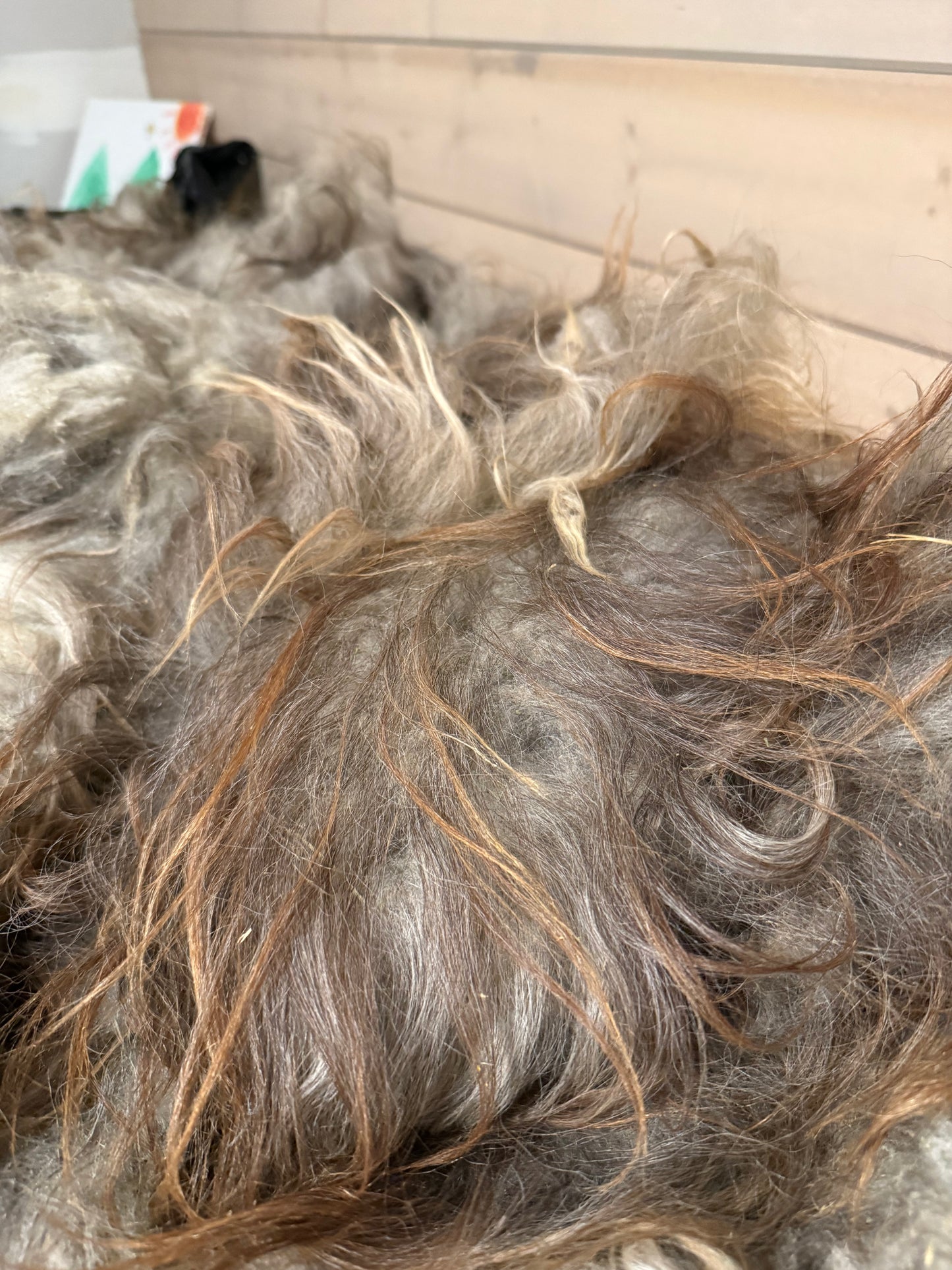 Full Icelandic Fleece (Oden) 2.5 lbs
