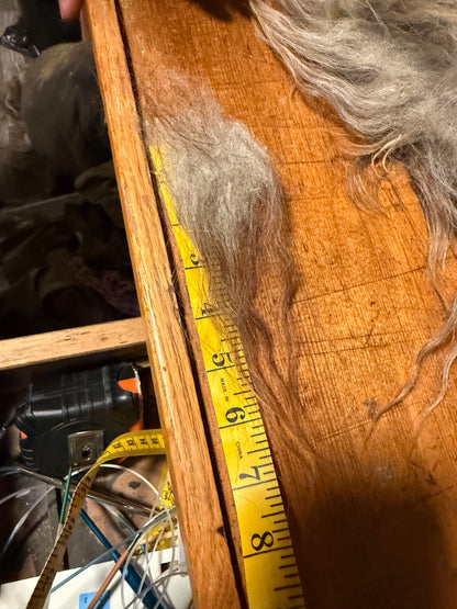 Full Icelandic Fleece (Oden) 2.5 lbs