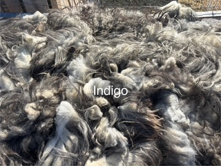 Fall Shearing Raw Icelandic Fleece-Indigo-1.6lbs