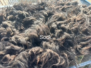 Fall Shearing Raw Finn/Icelandic Cross-Sock 1.5lbs